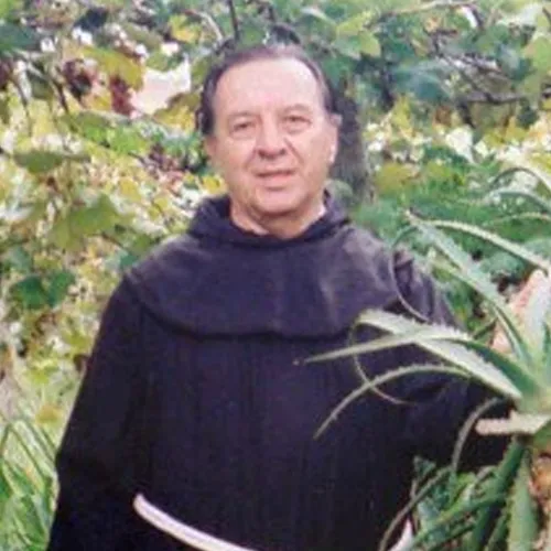 Romano Zago Aloé Véra Arborescens en héritage
