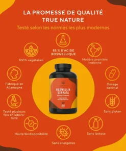 Boswellia 20000mg - 360 Gélules