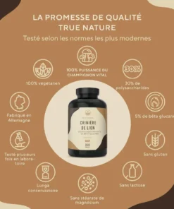 Lion's Mane 2000mg - 360 Gélules